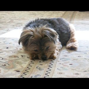 Meet your Posher, Leslie